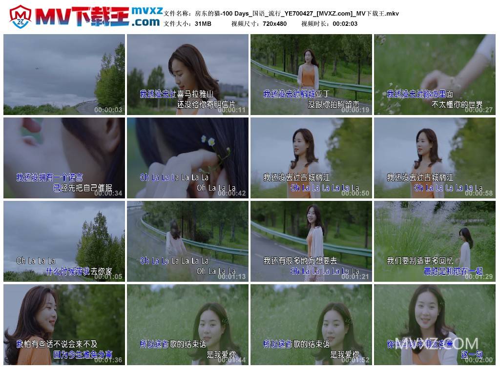 房东的猫-100 Days_国语_流行_YE700427